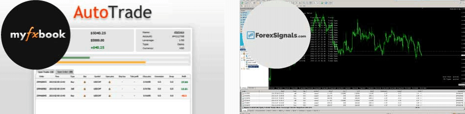 Royal Financial Trading social trading