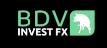 BDV Invest FX logo