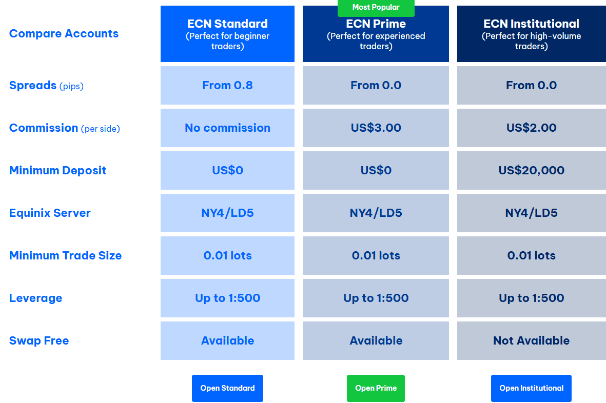 BlackBull Markets Account Types Review