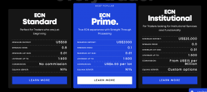 Blackbull Markets - Account Types