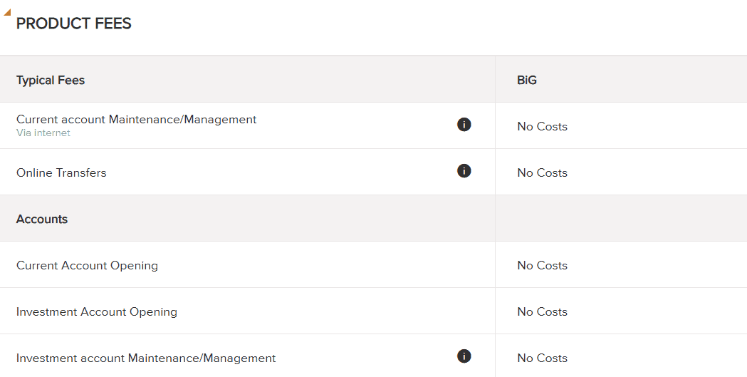 BiG Fees Review
