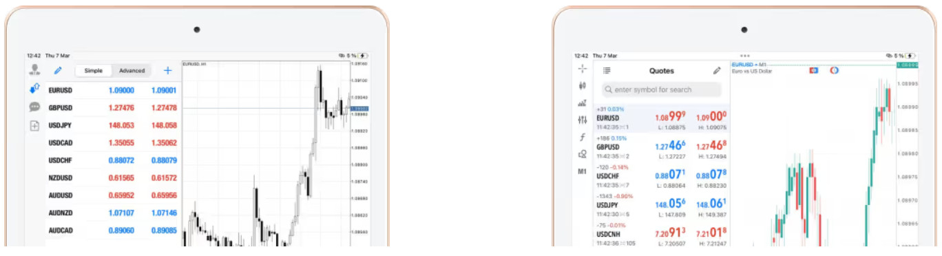 Doto Platform Review